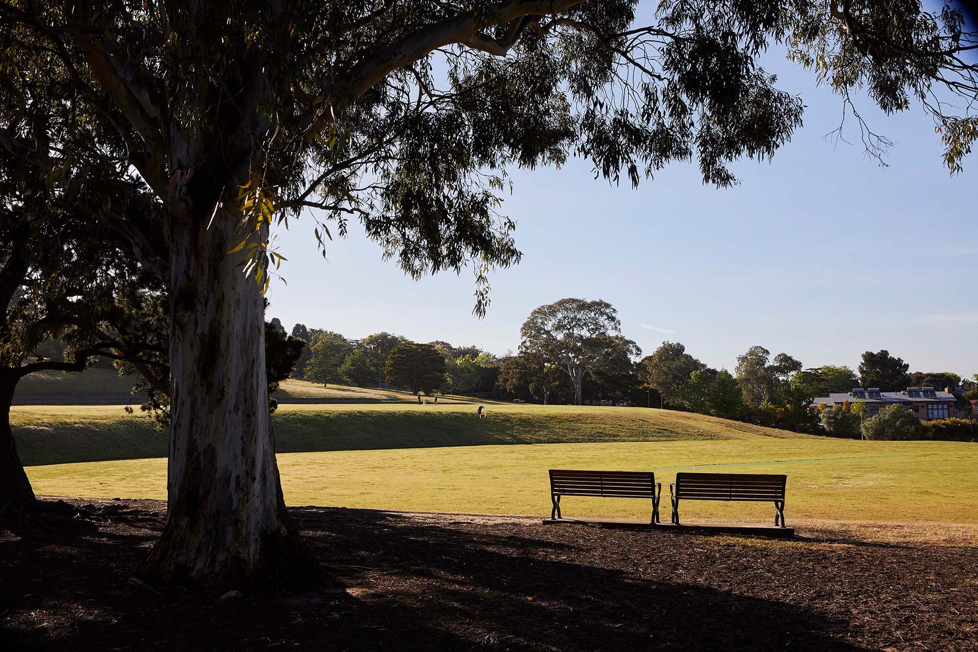 Lifestyle in Hawthorn for Echo.1 a sustainable passivhaus project